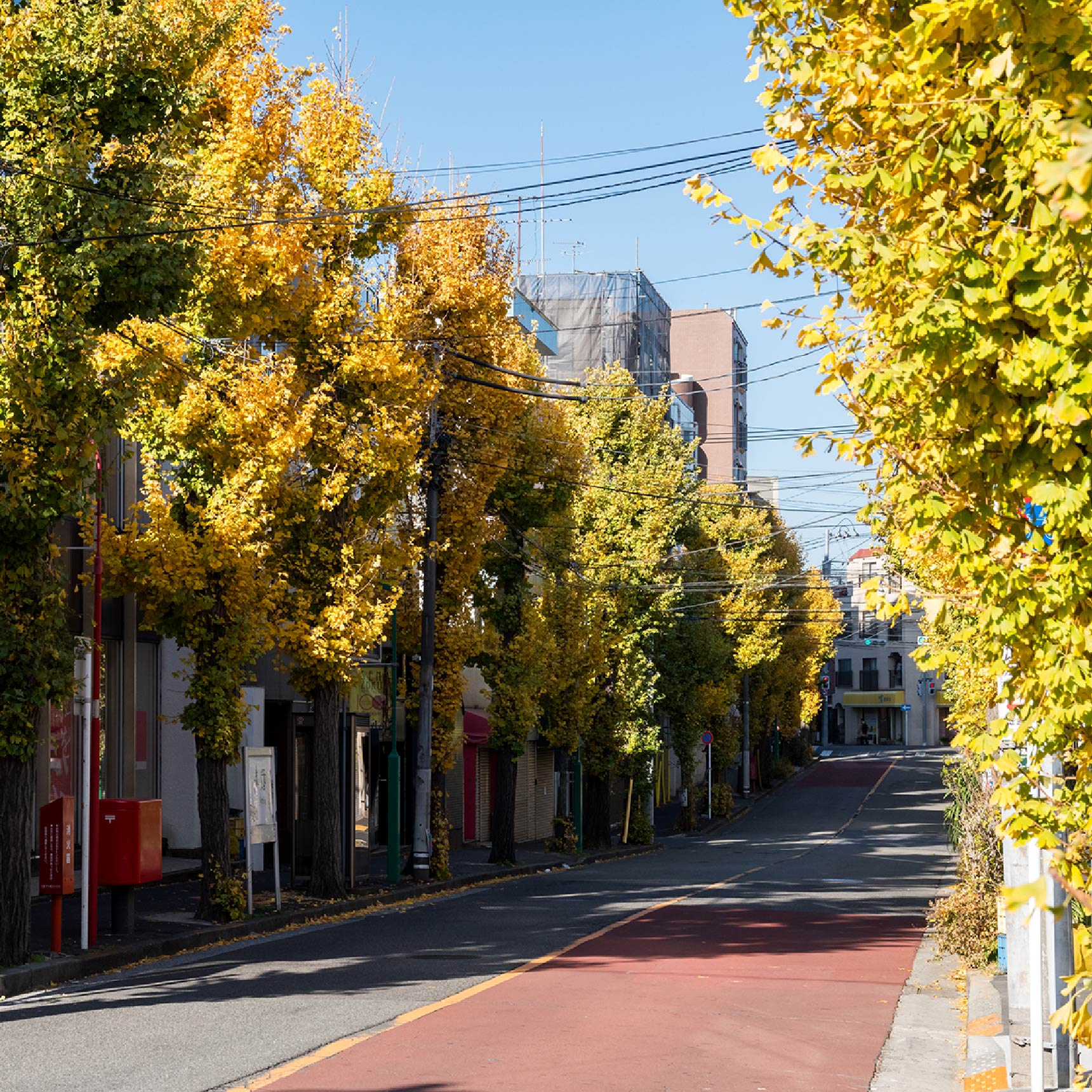 現地周辺の街並み