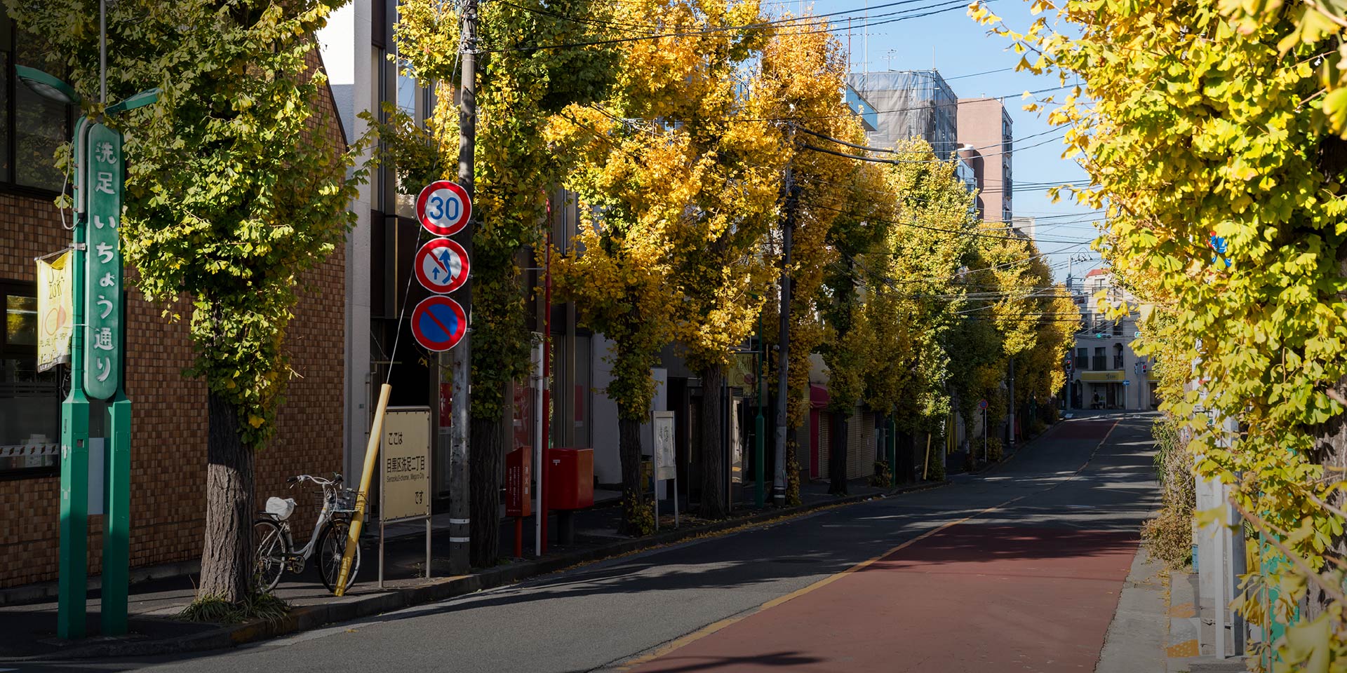 洗足いちょう通り